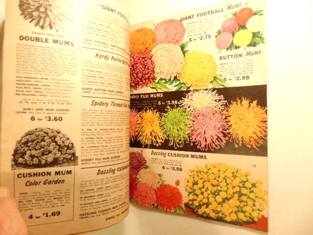 Vintage spring 1967 Spring Hill Nurseries catalog; Tipp City, OH
