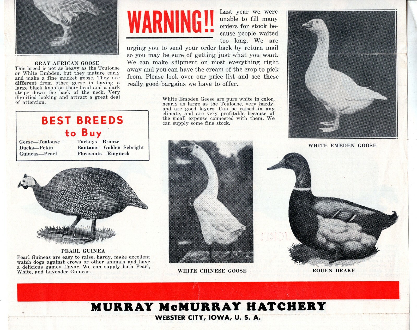 McMURRAY HATCHERY Ducks BANTAM Turkey 1940&rsquo;s Catalog Brochure Webster City IA