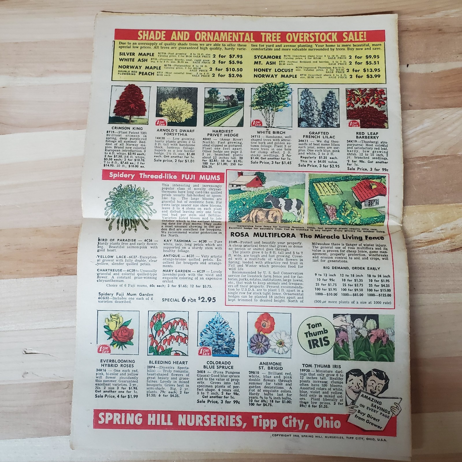 VTG spring 1958 Spring Hill Nurseries catalog; Tipp City, OH 109th Anniversary