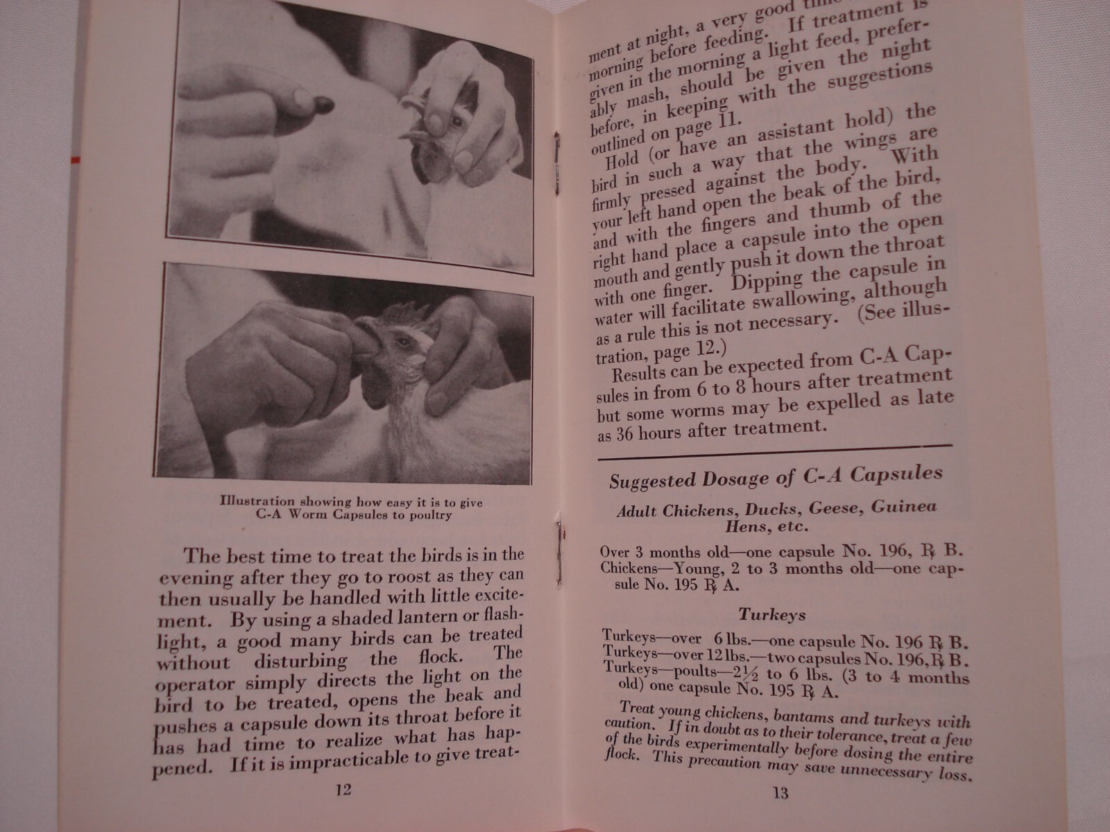 PARKE DAVIS C – A WORM CAPSULES FOR POULTRY LIVESTOCK MEDICINE PAMPHLET