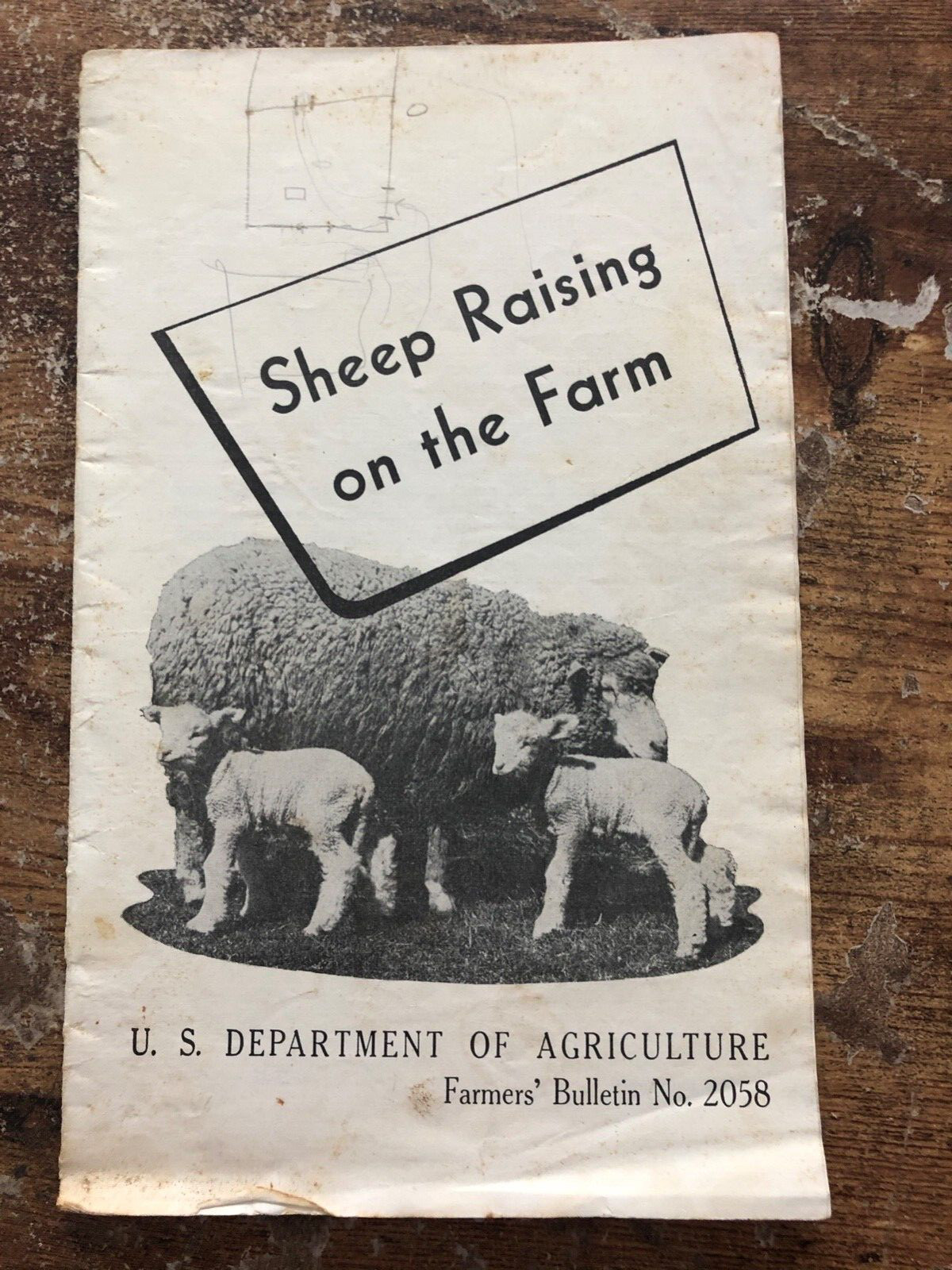 Vintage SHEEP RAISING ON FARM Farmers Bulletin 2058 US DEPT. AGRICULTURE