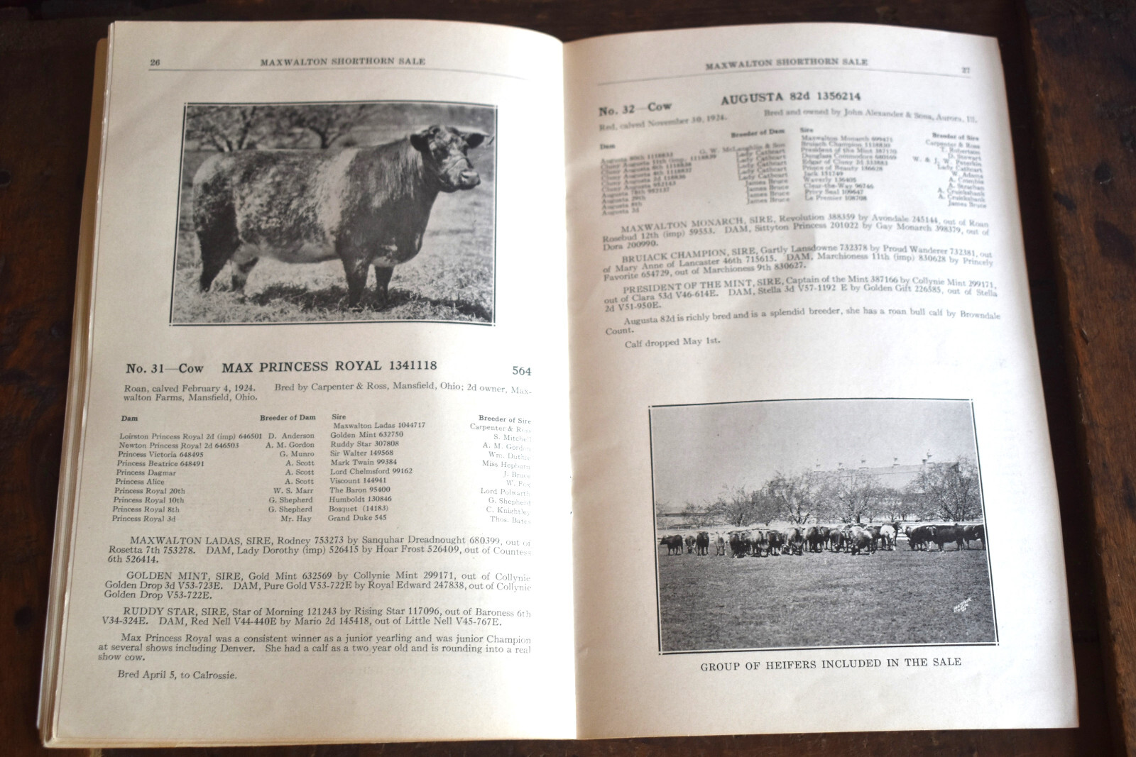 Vintage 1928 Shorthorn Cattle Auction Catalog Thompson Estate Fithian IL