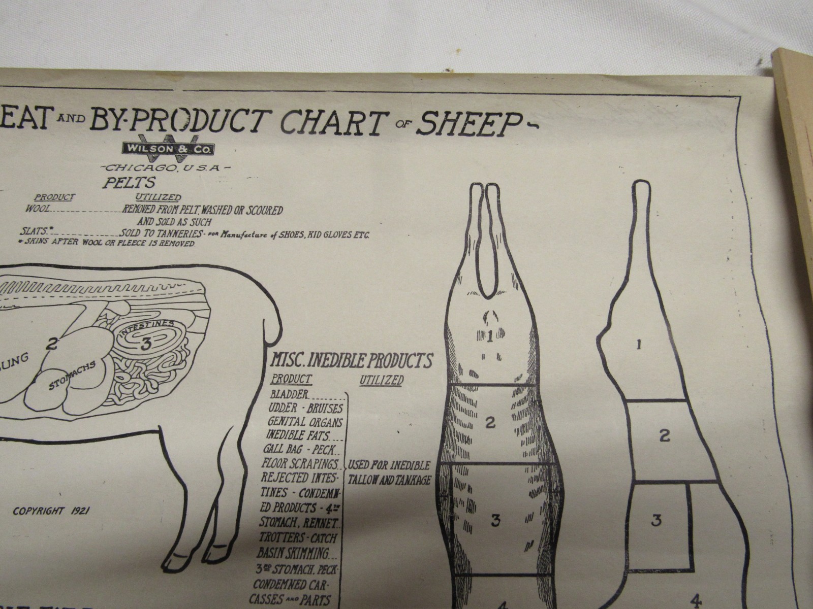 1921 WILSON SHEEP BYPRODUCT PORK CUTS CHICAGO BUTCHER PACKINGHOUSE POSTER VISUAL