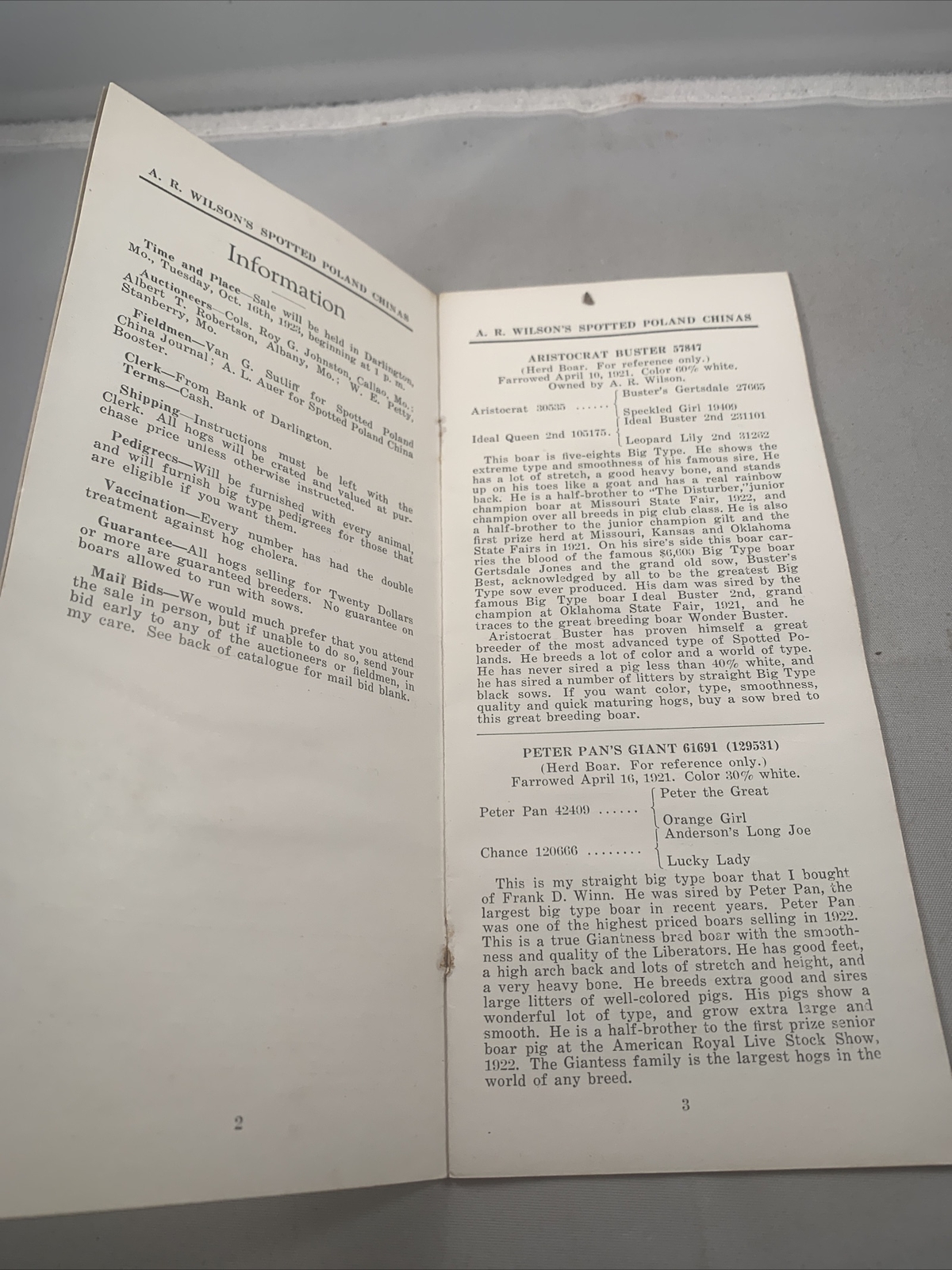 1923 Hog Sale Brochure Wilson’s Prolific Poland China Pig Farm Darlington MO