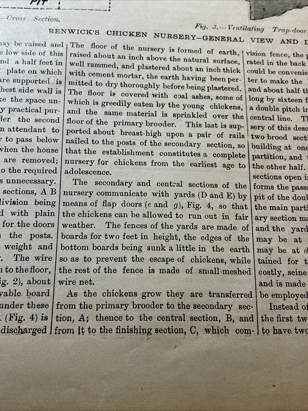 1883 Renwick’s Chicken Nursery Farm Advertising Engraving & Article – 10×15