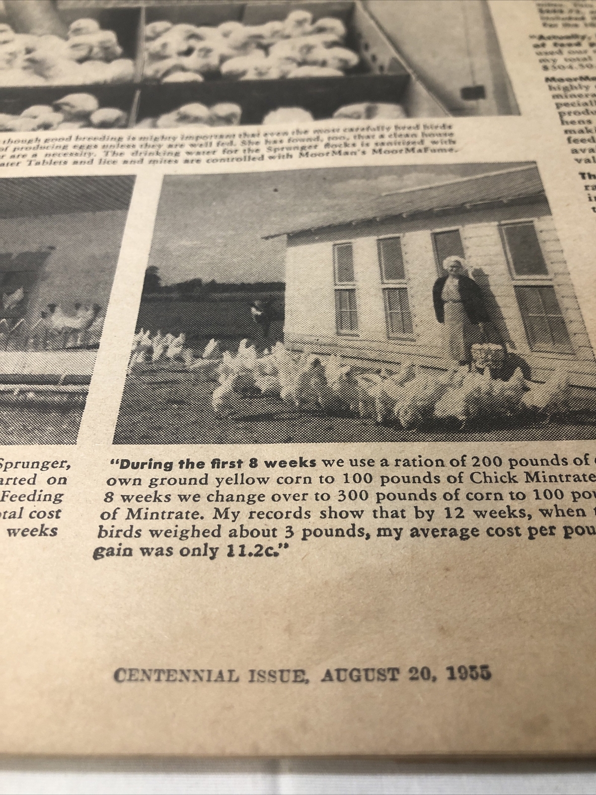 VINTAGE AUGUST 20, 1955 WALLACE FARMER IOWA HOMESTEAD MAGAZINE CENTENNIAL ISSUE