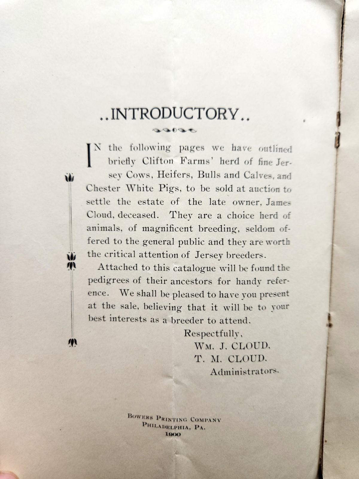 Clifton Farms Auction Catalogue Jersey Cattle & Chester Pigs Chester PA c.1900