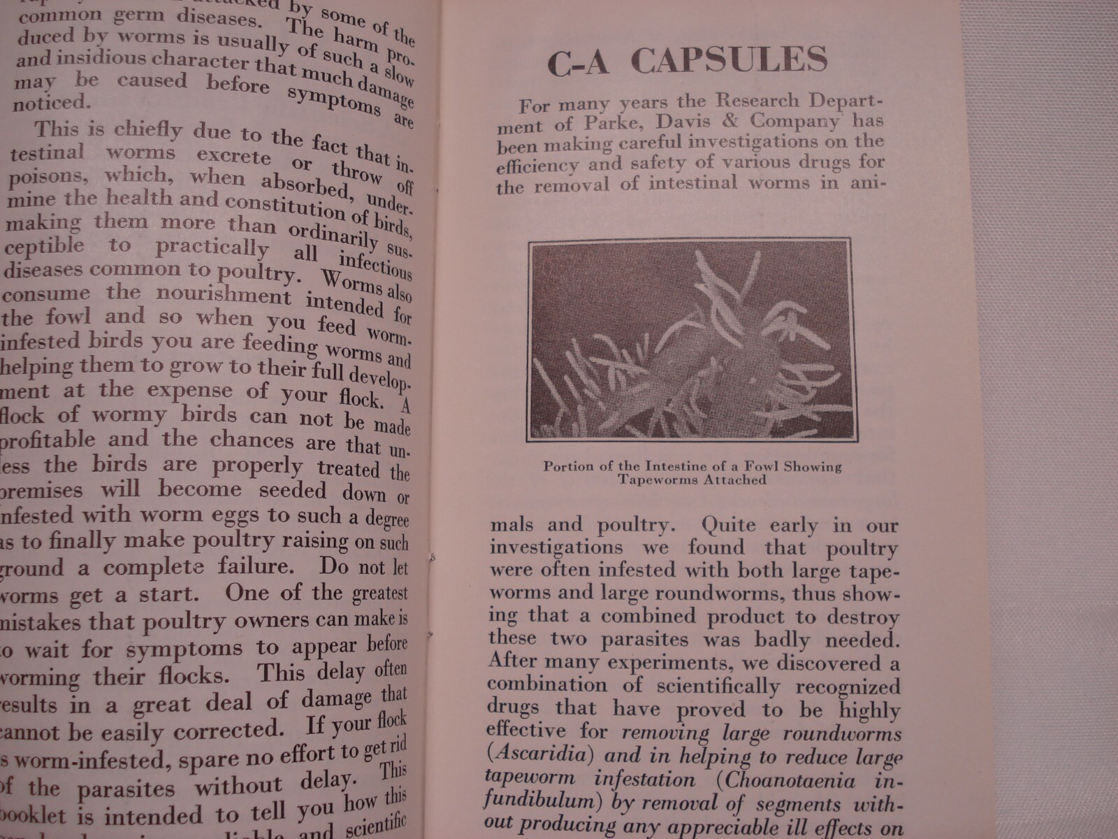 PARKE DAVIS C – A WORM CAPSULES FOR POULTRY LIVESTOCK MEDICINE PAMPHLET