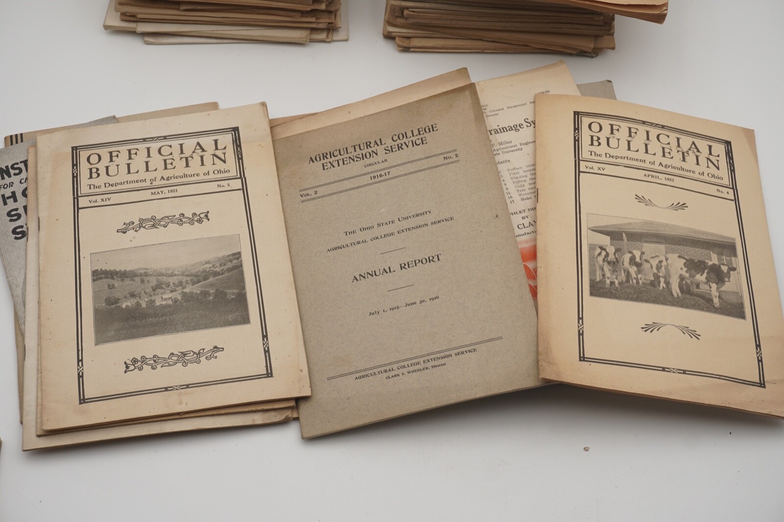 Huge Lot Early 1900s Agricultural Farming Livestock Pamphlets Literature Vintage