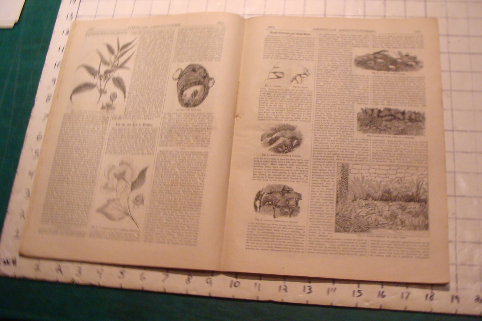 Vintage American Agriculturist 1879 May; great DOGS, SHEEP, MACHINES,