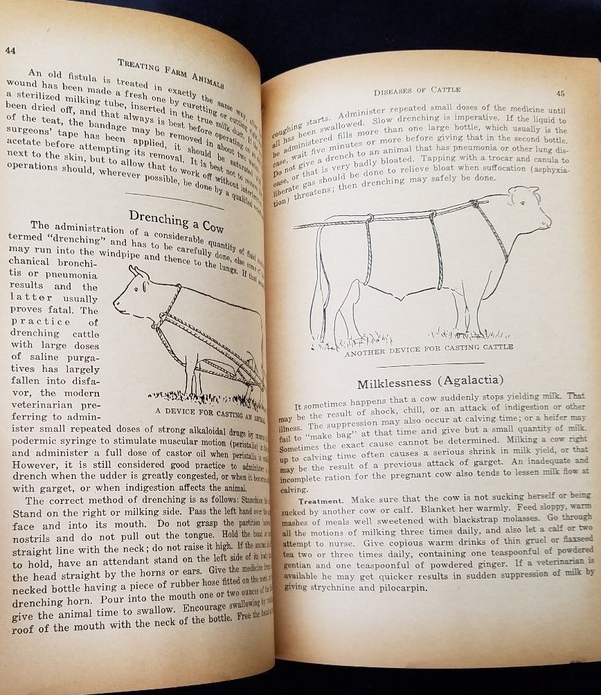 1932 How To Treat Common Ailments Farm Animals Hoard&rsquo;s Dairyman Fort Atkinson WI