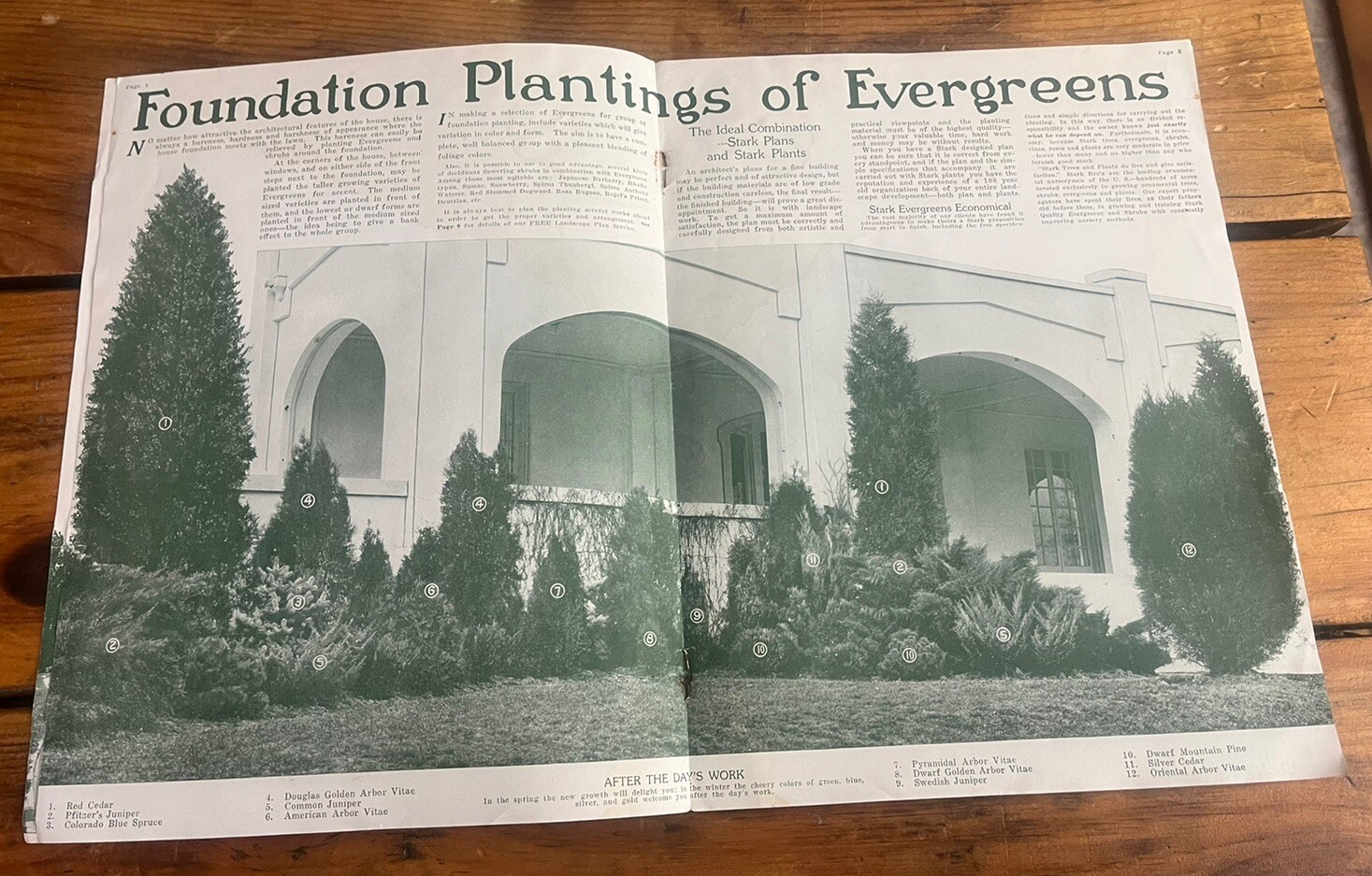 1923 Stark Brothers Advertising Nurseries Catalog Horticulture Since 1816 Rare