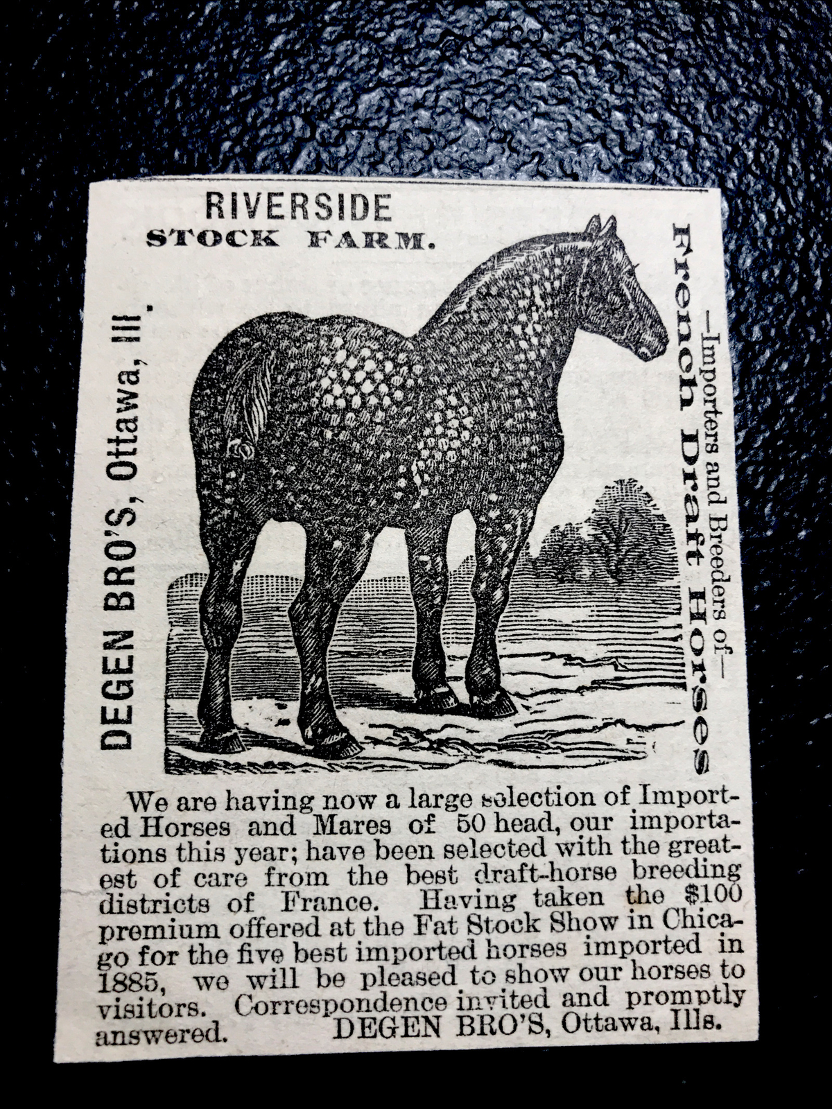 1886 Degen Brothers Horse Farm Advertising – Ottawa – Illinois