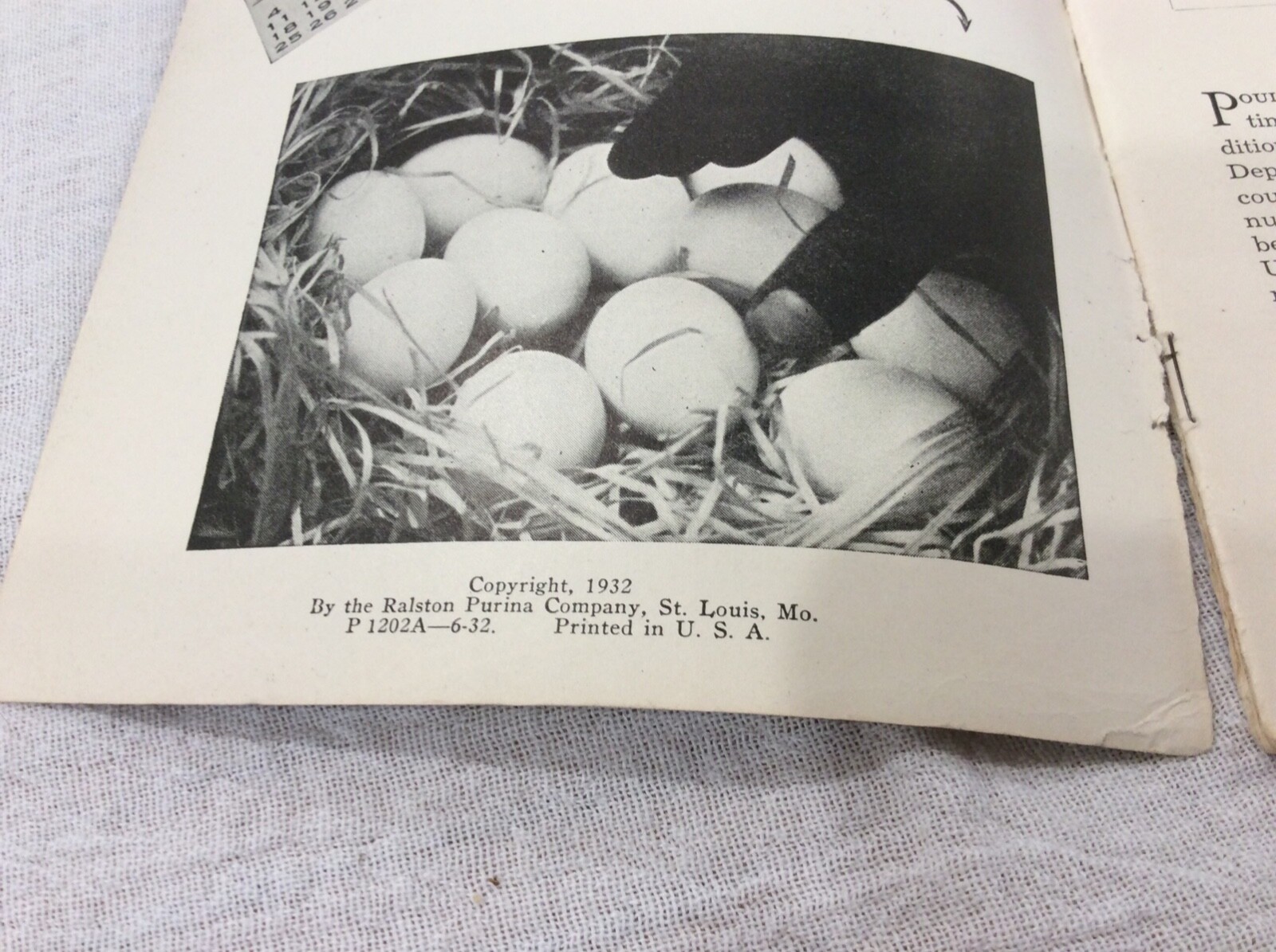 1932 Hens & Pullets Care & Management Booklet By Ralston Purina Agriculture