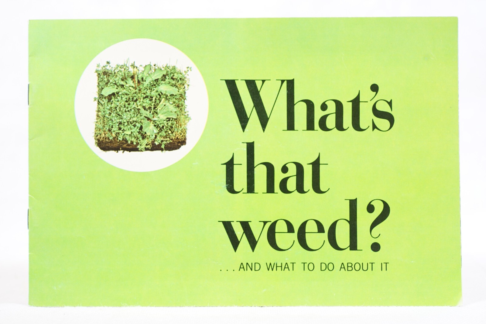 Whats That Weed? Original Vintage Agricultural Brochure Scotts Turf Builder