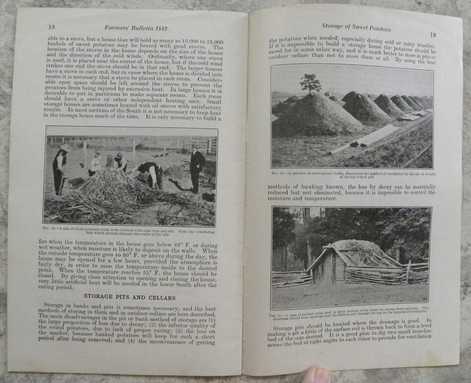 1925 Storage of Sweet Potatoes, USDA Agriculture Farmers Bulletin Booklet