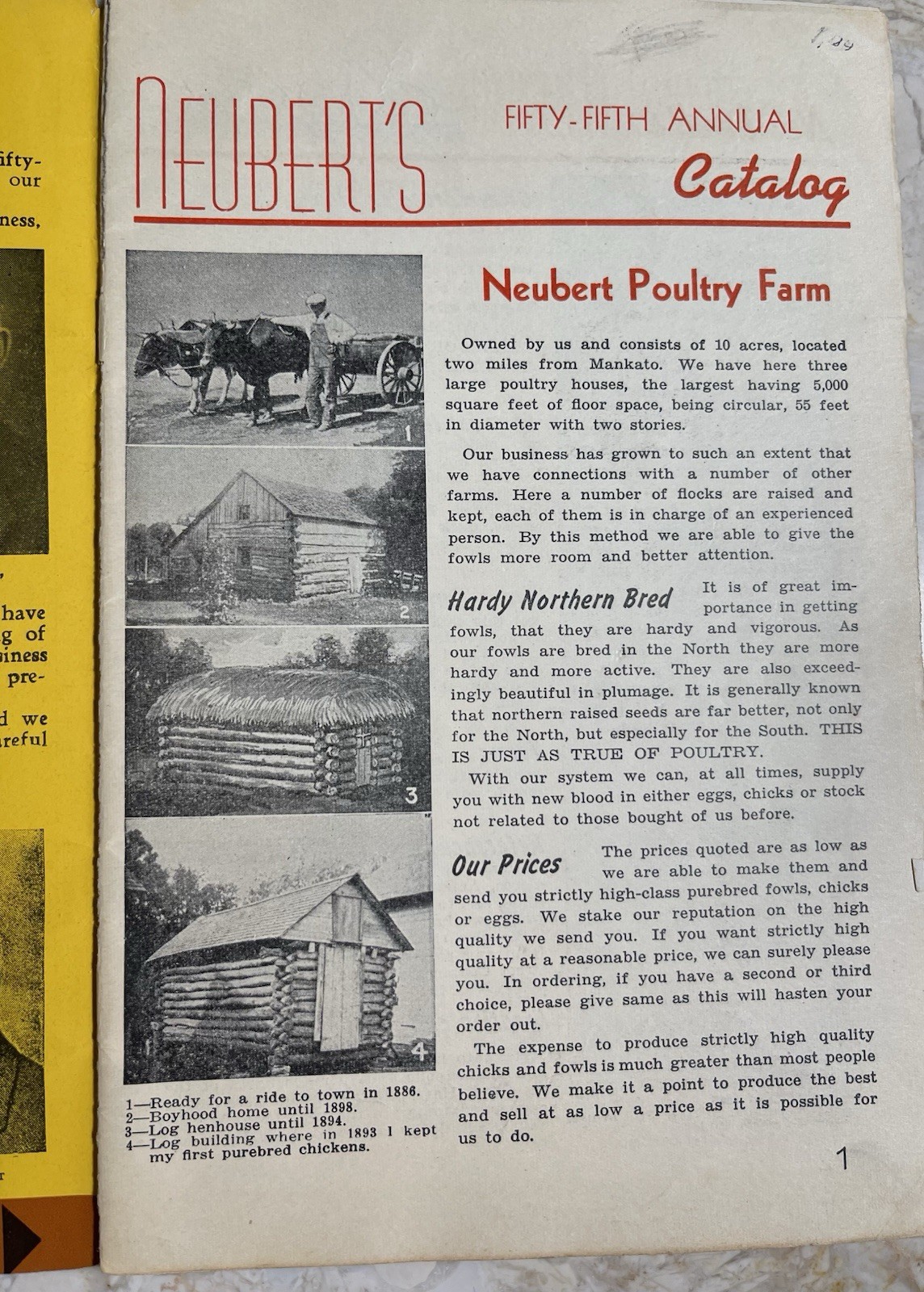 Vintage 1945 Neubert&rsquo;s Neubert Poultry + Supply Catalog Mankato MN