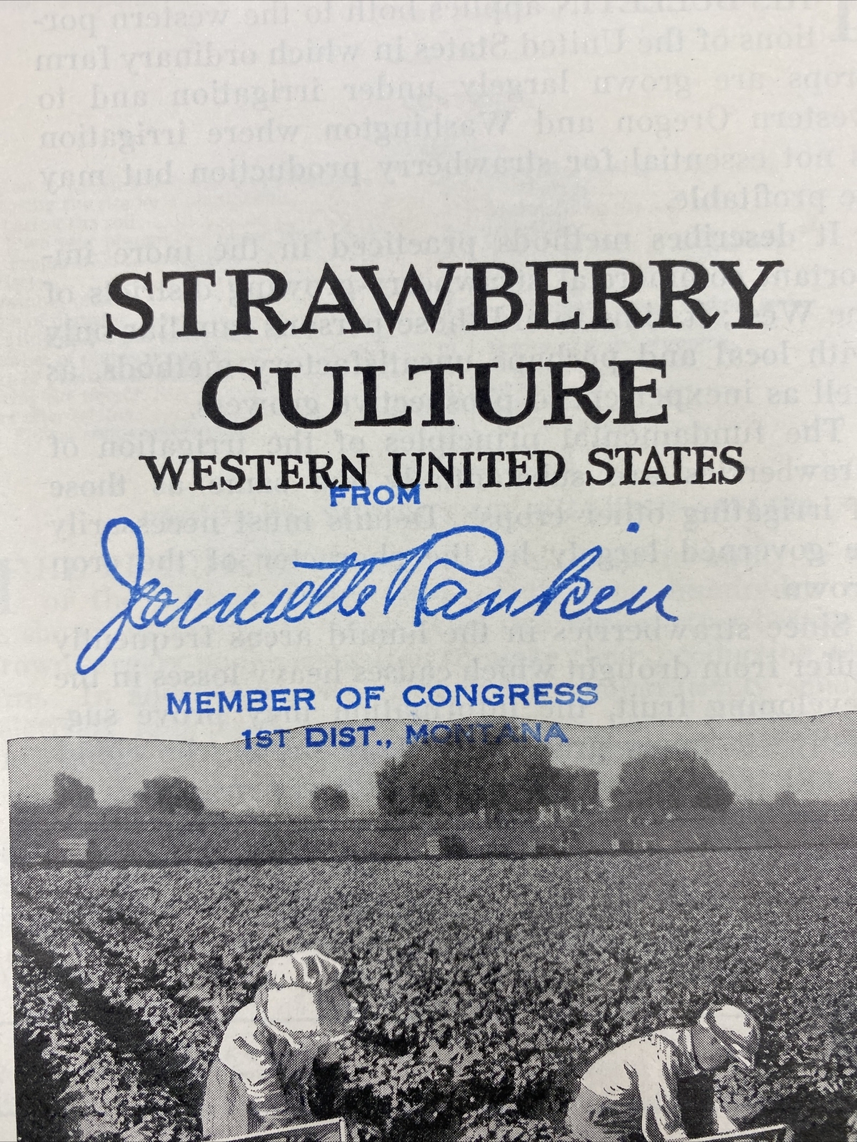 1936 USDA Farmers&rsquo; Bulletin No. 1027 Strawberry culture western united states