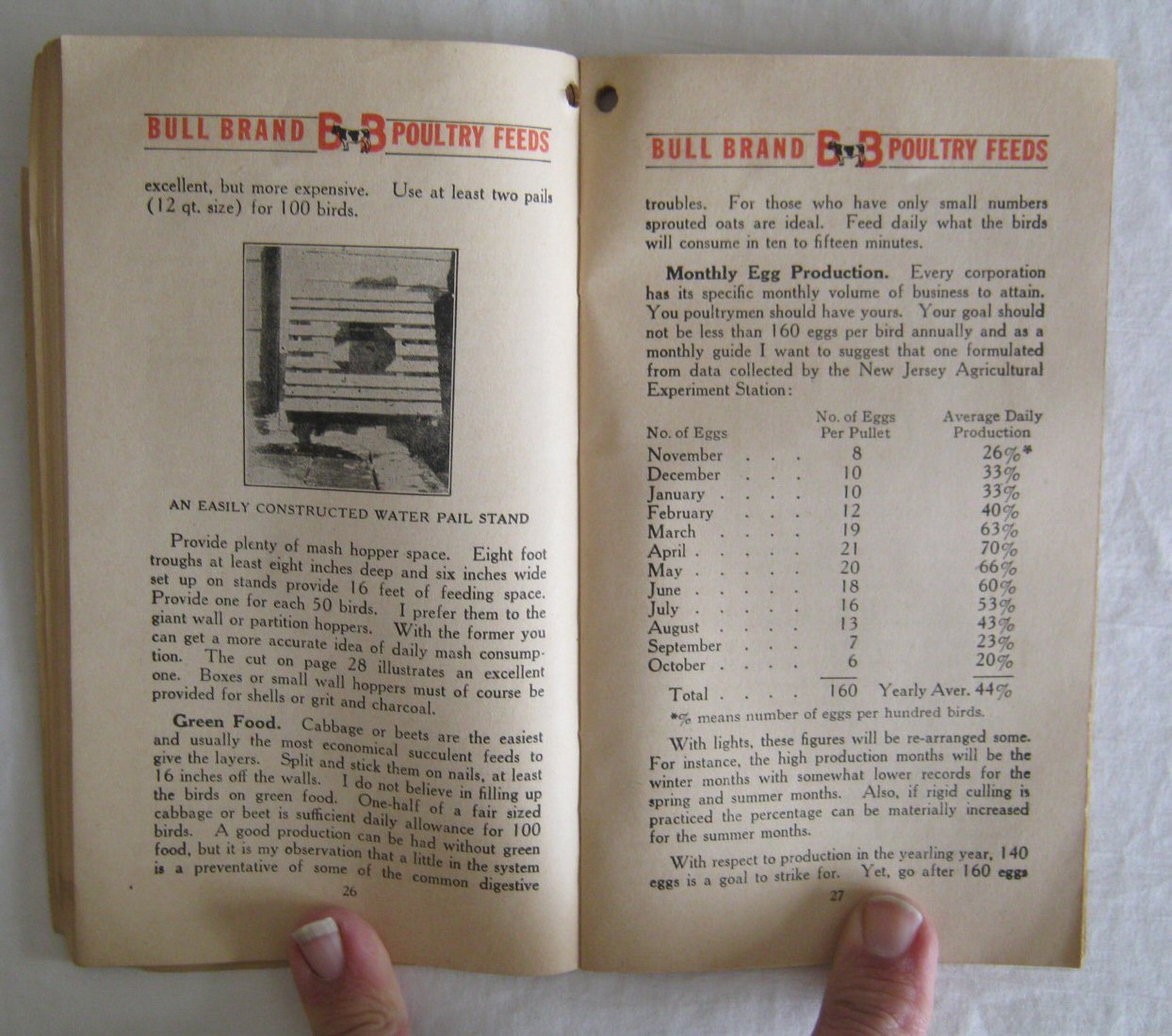 Hints For Poultry Keepers Prof L N Gilmore Bull Brand Poultry Book Undated