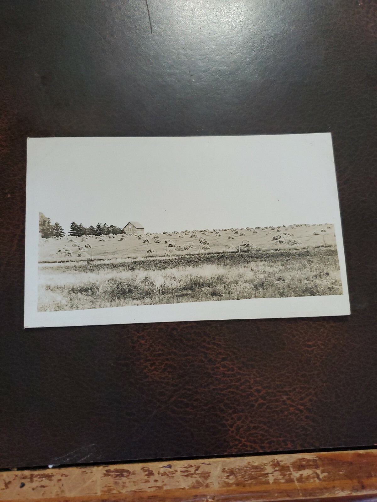 Vntg 1890-1900 Farming RPPC Agricultural Postcard