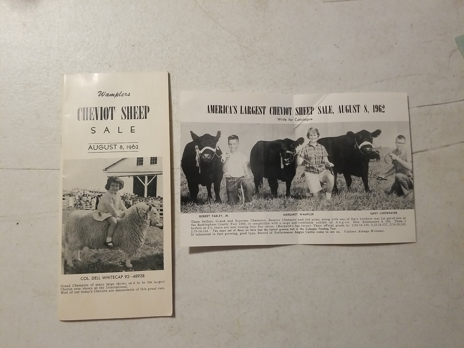 Vintage 1962 Wampler&rsquo;s Cheviot Sheep Sale Catalog & Flyer. Harrisonburg, VA