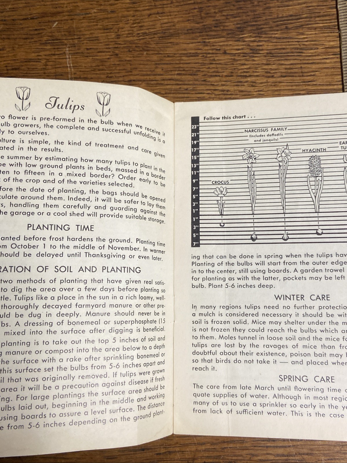 Bulb Planting Guide Associated Bulb Growers of Holland Hart & Vick Rochester NY