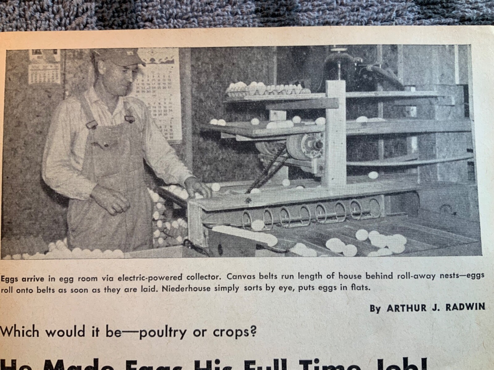 1962 Magaxine Article. Charles Niederhouse. Whitehouse, Ohio. Crop and Egg Farm