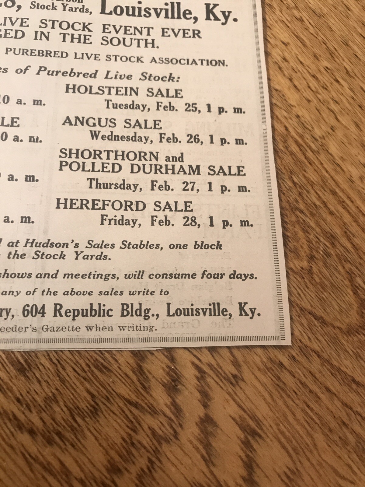 1919 Pig & Cattle Public Sale – Louisville – Kentucky – Cow Advertising