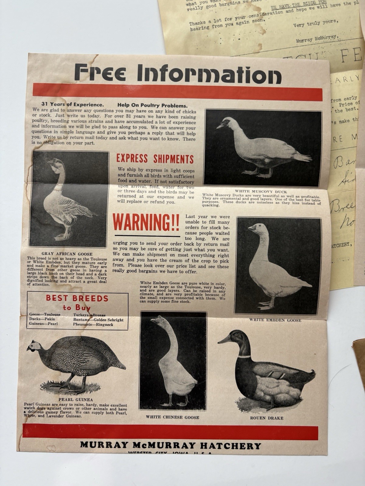 Vintage 1948 Murray McMurray Hatchery Webster City Iowa Chicks Stock Advert Lot