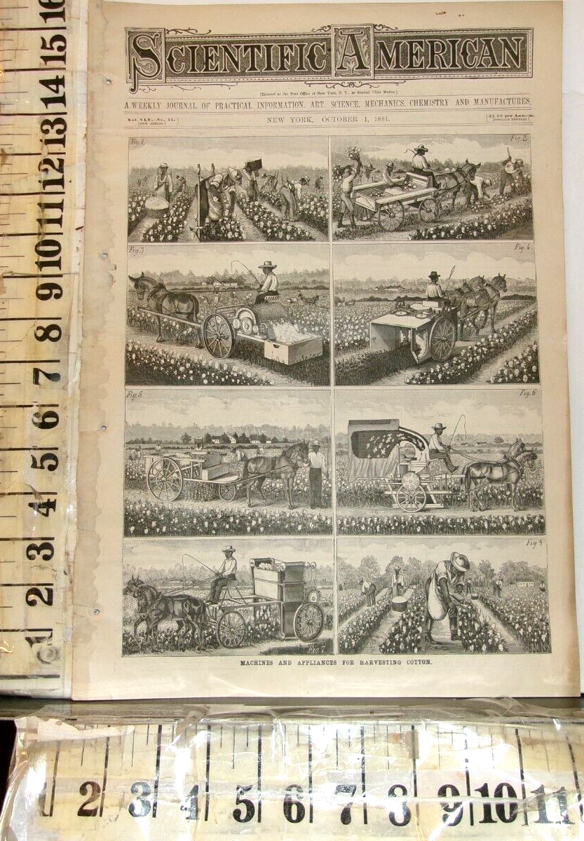 1881 AFRICAN AMERICAN WORKERS COTTON AGRICULTURE INVENTIONS ETC