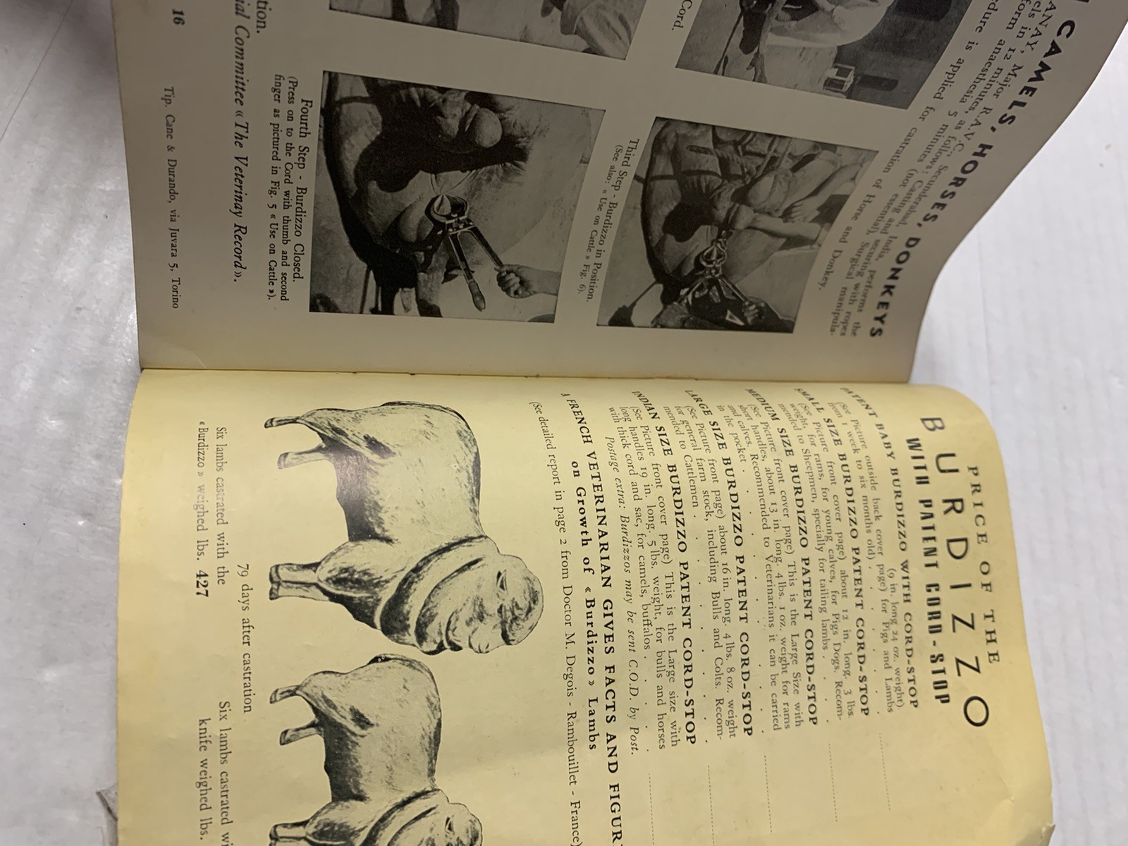 Vintage Burdizzo Bloodless Castrator Advertisement 1930s-1940s Farming Ephemera