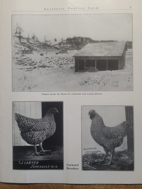 1911 Excelsior Poultry Farm T Carter Jonesdale WI Mineral Point Dodgeville Area