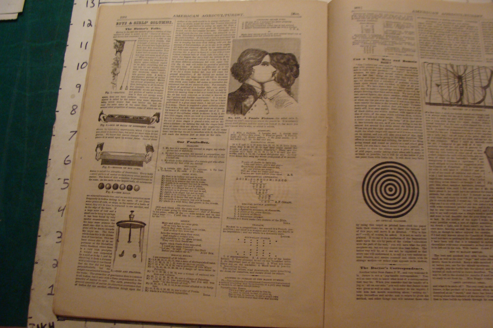 Vintage American Agriculturist 1879 May; great DOGS, SHEEP, MACHINES,