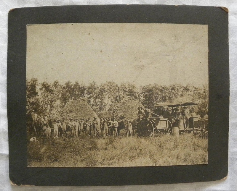 Early1900s Farmers Threshing, Many Men, Children, Straw Stacks 6&Prime; x8&Prime; Real Photo