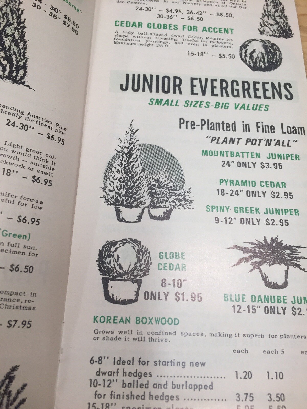Weall And Cullen Nurseries, Vintage Spring Plant Gardening Brochure Catalogue M1