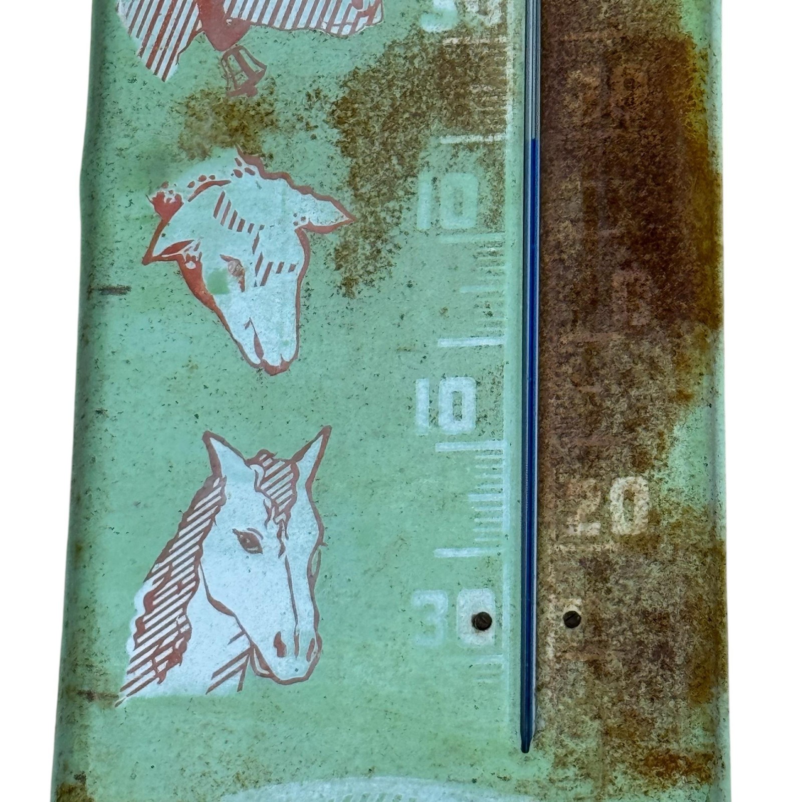 Vintage Salins Du Midi Blocs A Lecher French Thermometer Sign 7.25×27.25 Green