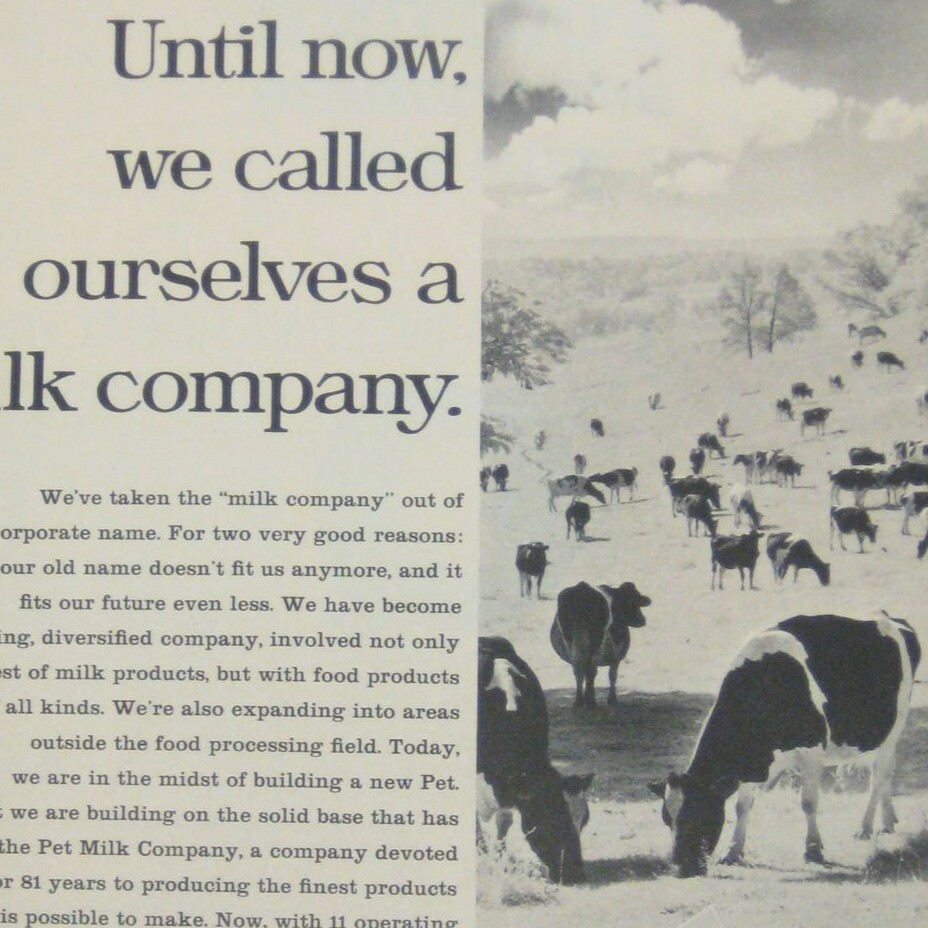 Vintage 1960s Pet Milk Company Advertising Print Cows Field Landscape Farm