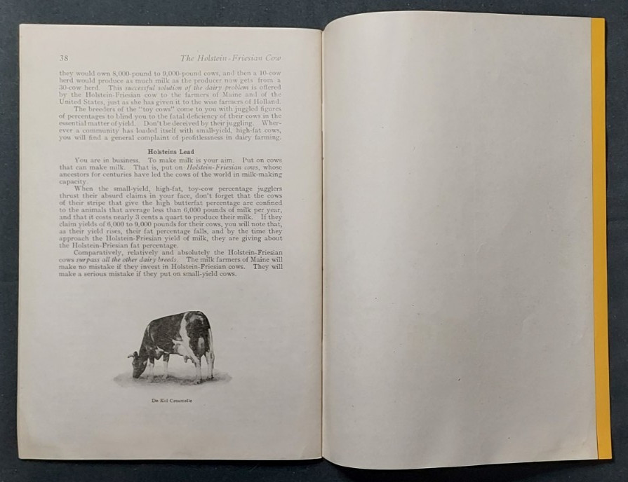 1913 Bulletin Holstein Friesian Association America Brattleboro Vermont Cow
