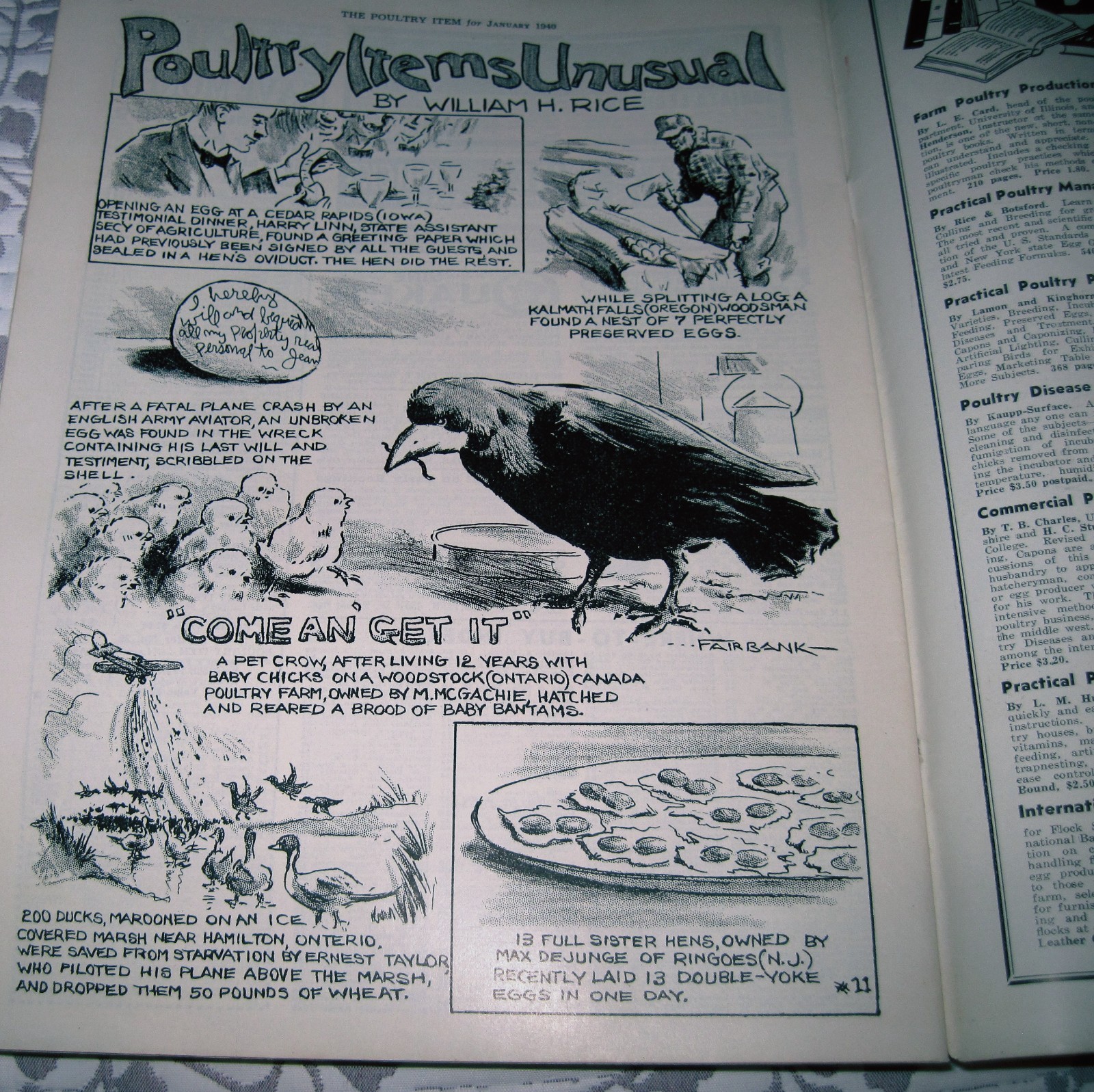 1940 Issue Poultry Item Magazine Sellersville, PA Poultry Farming Magazine