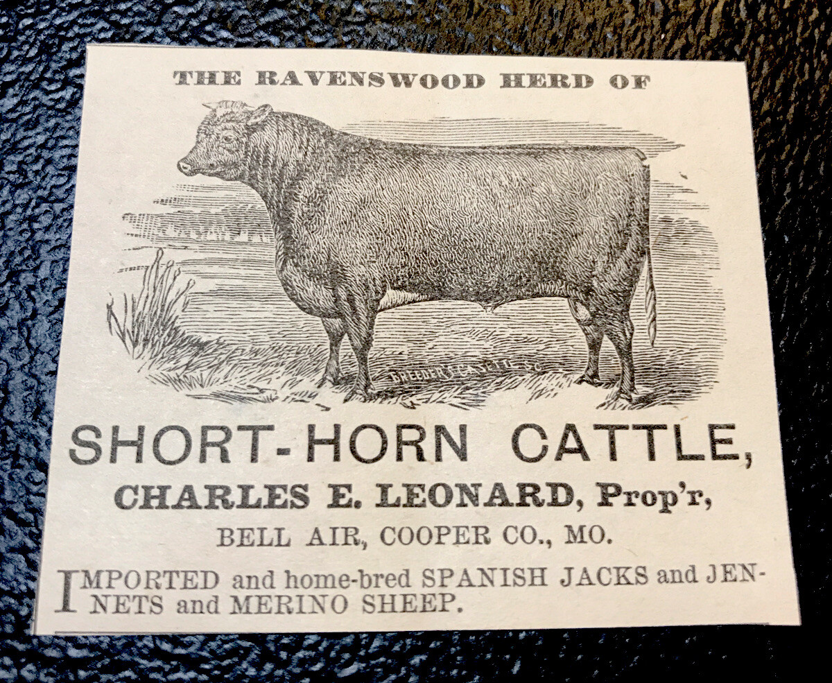 1883 Charles E. Leonard Cattle Advertising – Bell Air – Missouri – Cow
