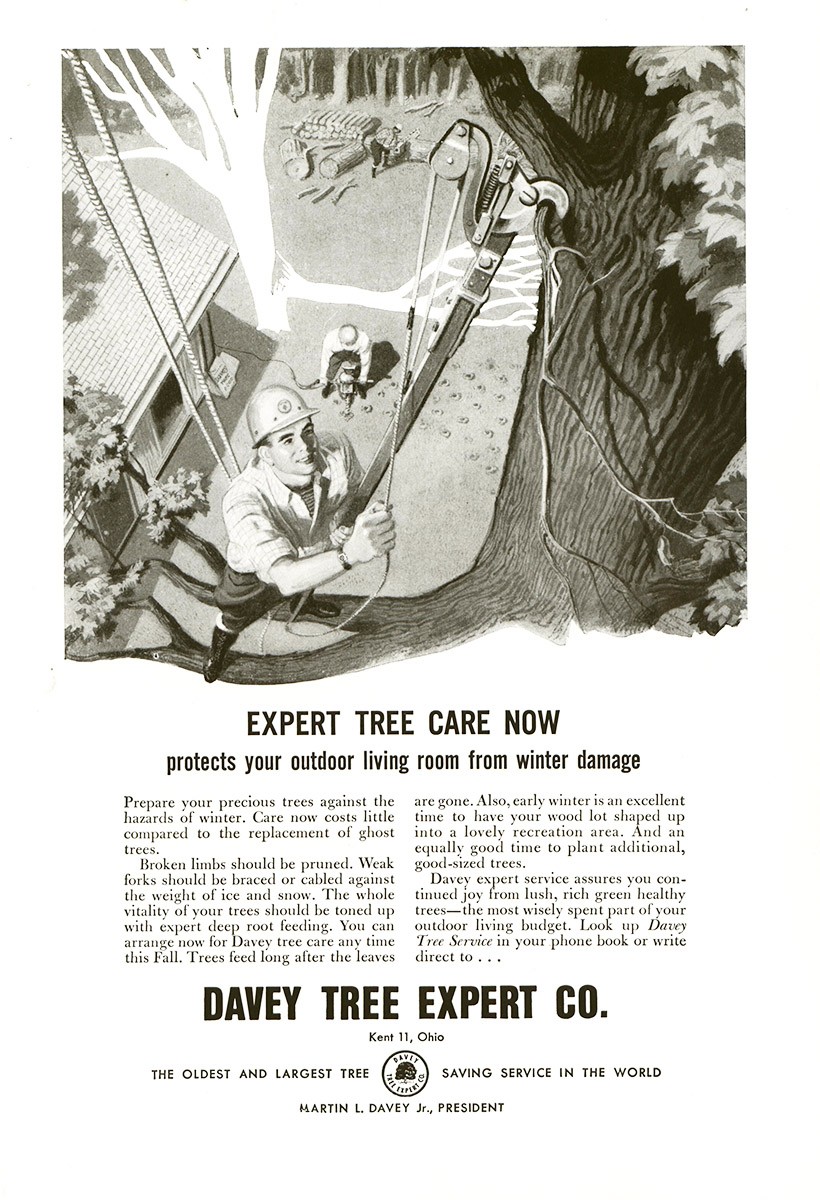 1958 Davey Tree Expert: Protect Your Outdoor Living Vintage Print Ad