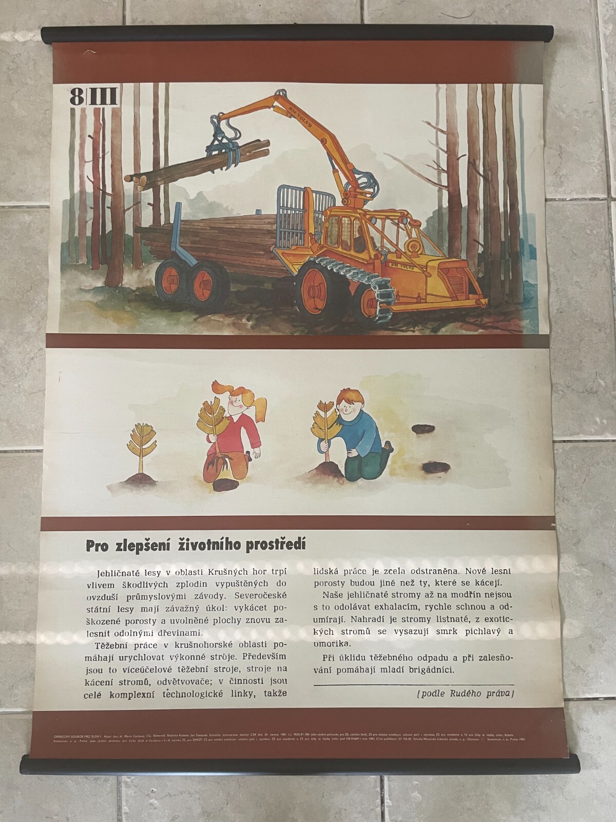 pull down school chart of Loader and excavator in the forest