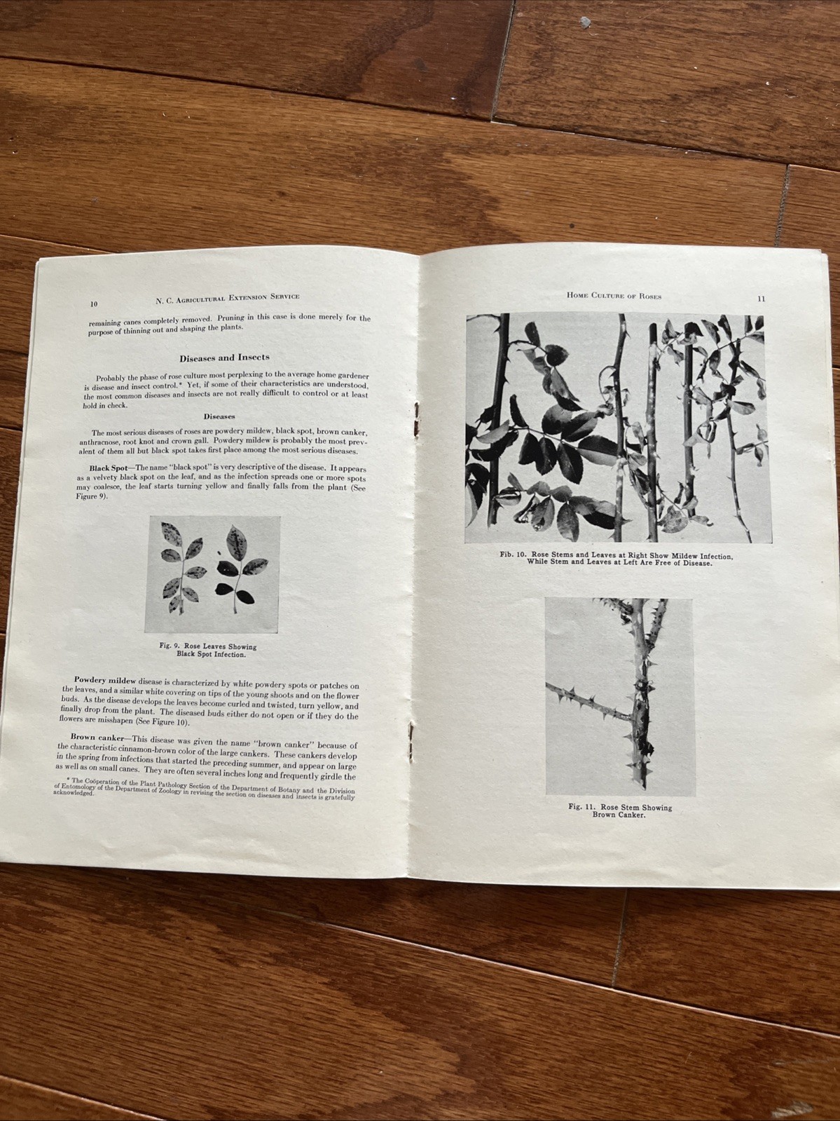 Vintage Rose Agricultural Booklets (1947, 1953)