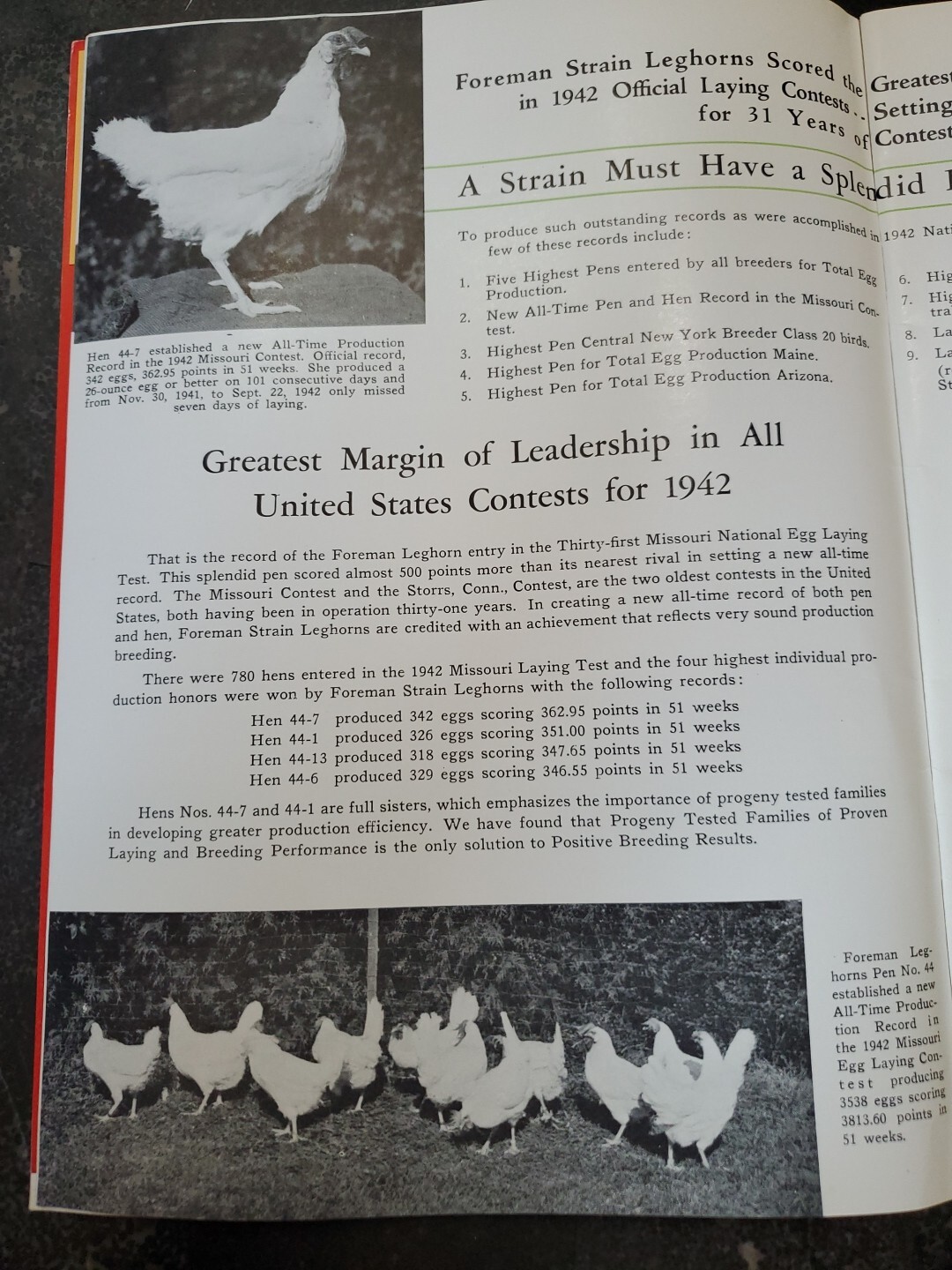 1944 Foreman Poultry Farm Catalog Chickens Beautiful & RARE 🐔