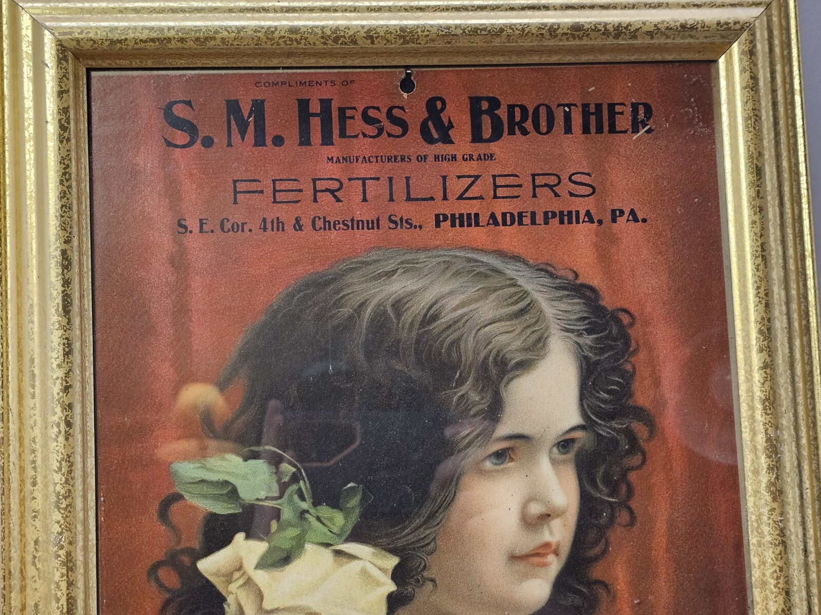 Rare Original S.M. HESS & BROTHER FERTILIZER PHILLA. PA Farm Advertising
