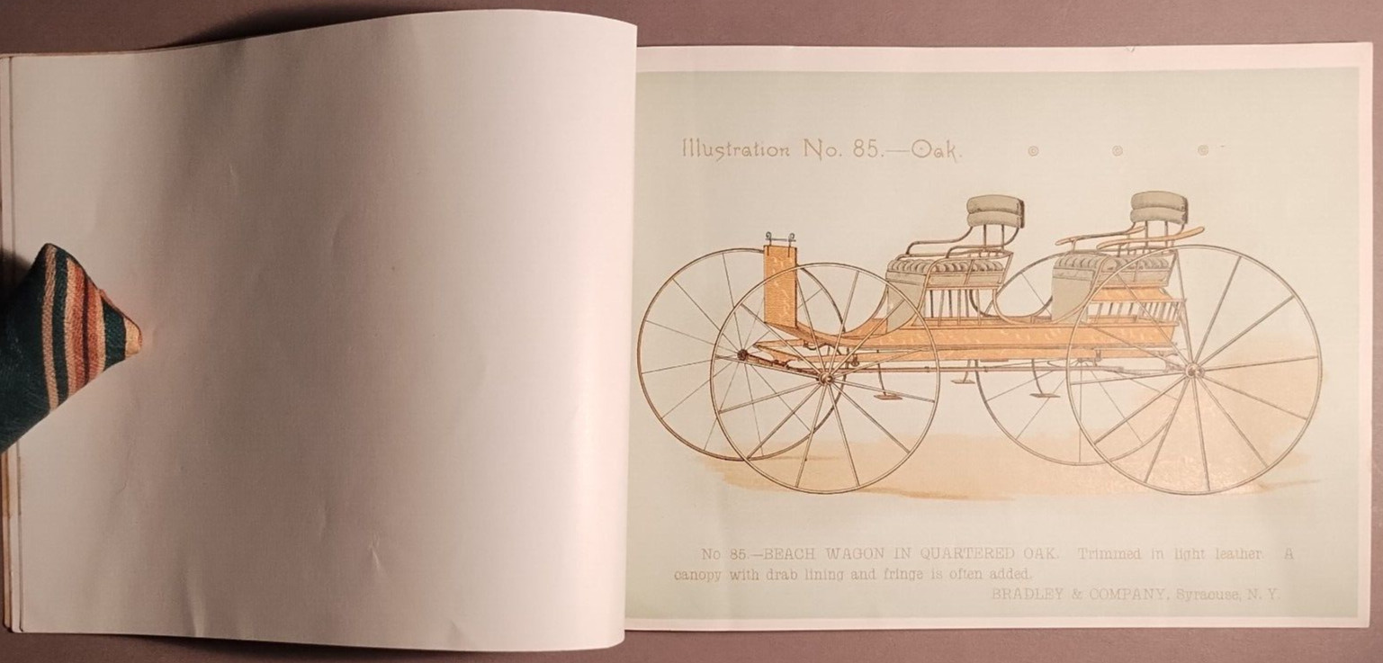 1890s Bradley & Co Syracuse Wagon Carriage Full Color Catalog Original B5-34