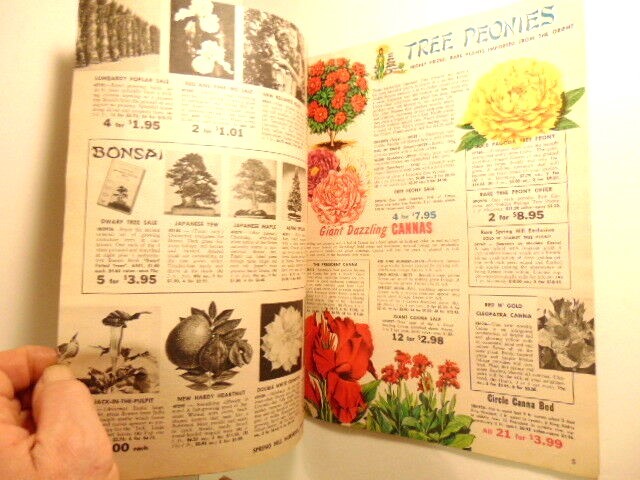 Vintage spring 1967 Spring Hill Nurseries catalog; Tipp City, OH