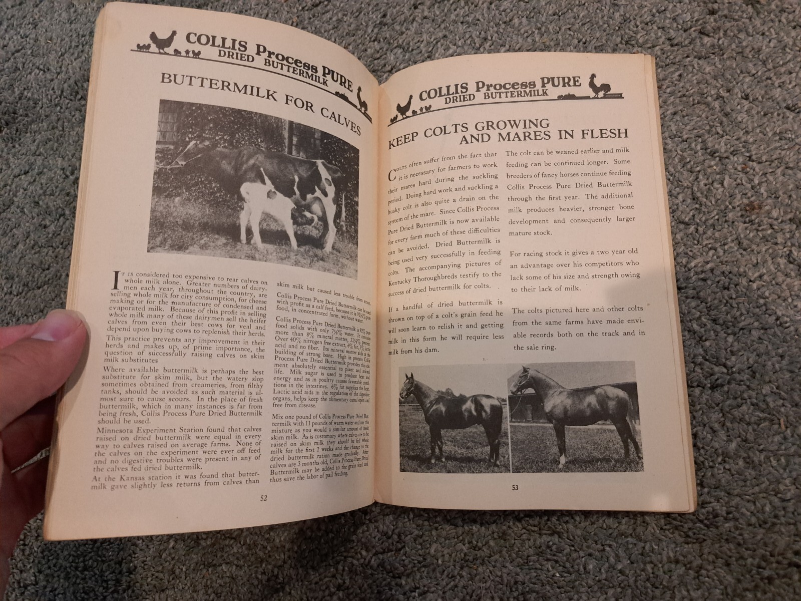 Feed from the Egg to the Market Collis Products Company Poultry Chickens