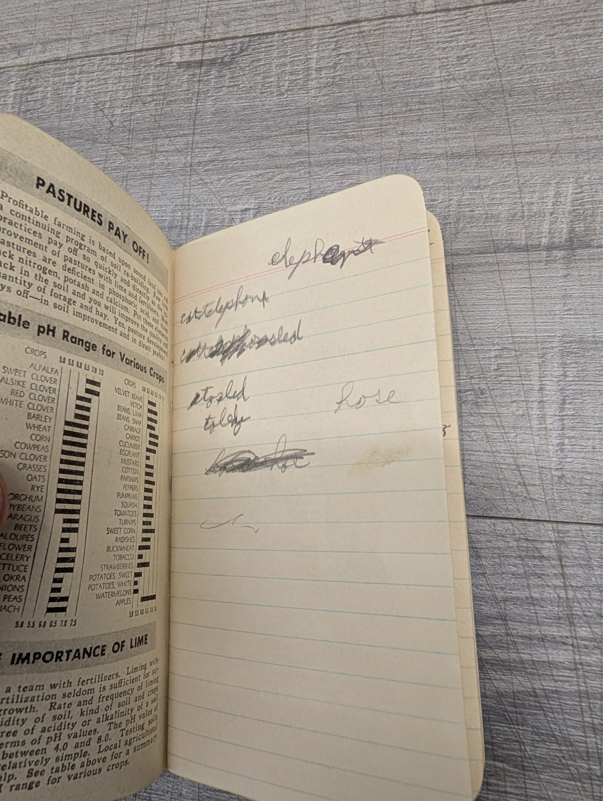 1952-1953 Armour&rsquo;s Fertilizer & Vertagreen Plant Food Pocket Notebook Calendar