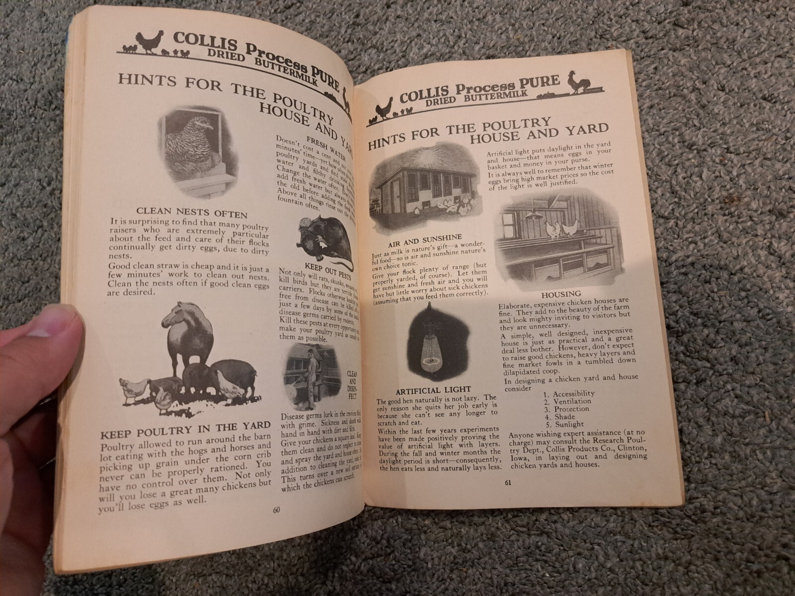 Feed from the Egg to the Market Collis Products Company Poultry Chickens